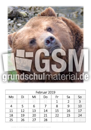 Februar_Kamtschatkabär.pdf